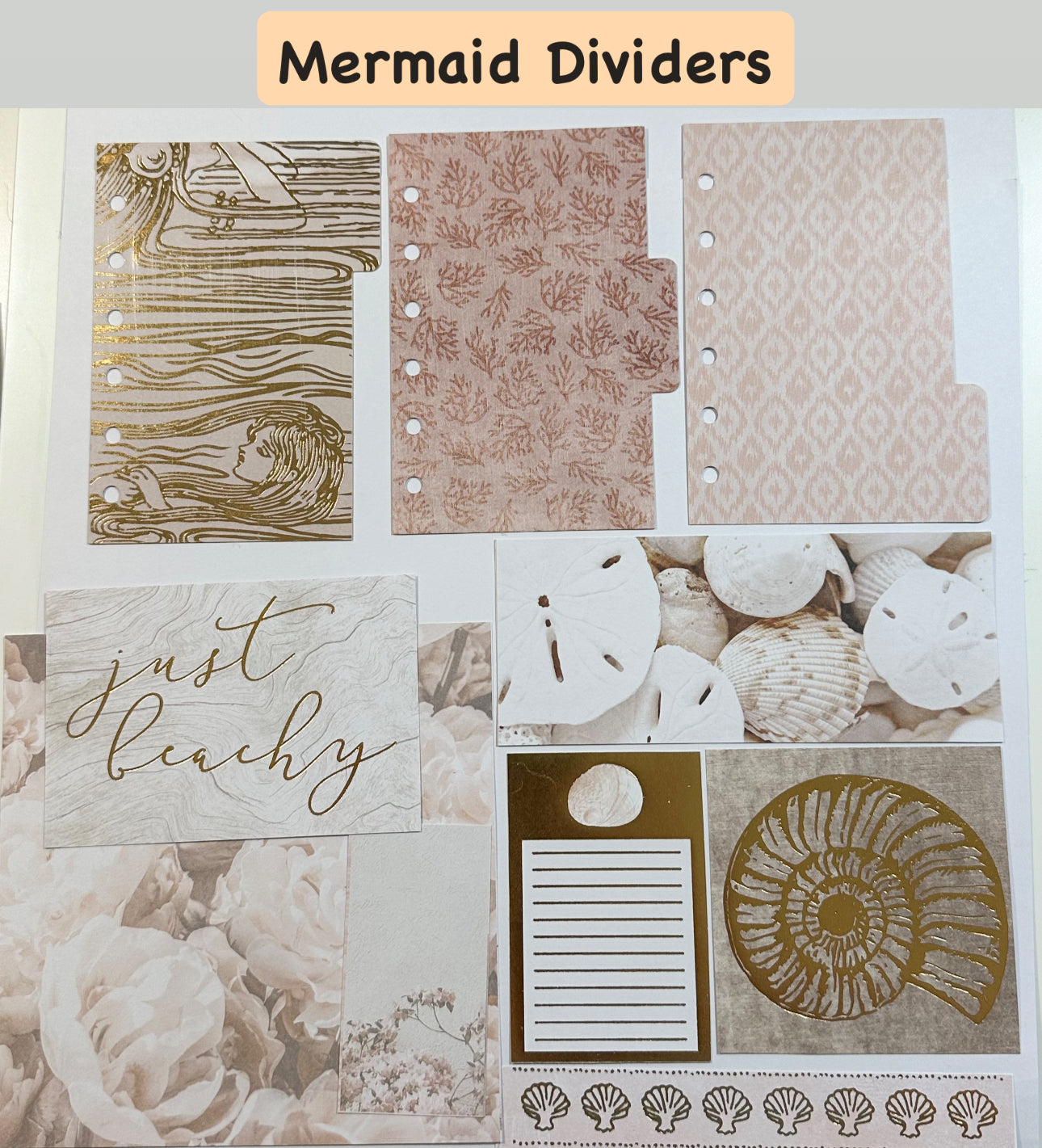 3-Tab Dividers – LAST CALL COLLECTIONS